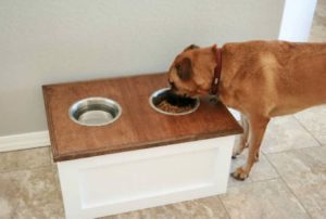 Dog Eating from Raised Food Bowls | Diamond Pet Foods