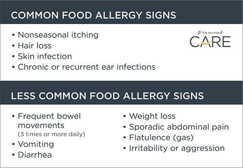 Common and Uncommon Food Allergy Signs | Diamond Pet Foods