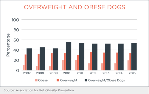 Overweight and Obese Dog Percentage Chart | Diamond Pet Foods