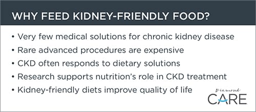 Why Feed Kidney-Friendly Food Call-Out | Diamond Pet Foods