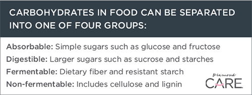 Four Groups of Carbohydrates in Pet Food Guide | Diamond Pet Foods