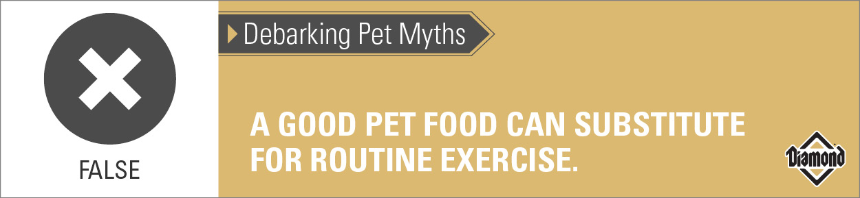 An interior graphic with text that reads, 'Debarking Pet Myths: A good pet food can substitute for routine exercise — False'.