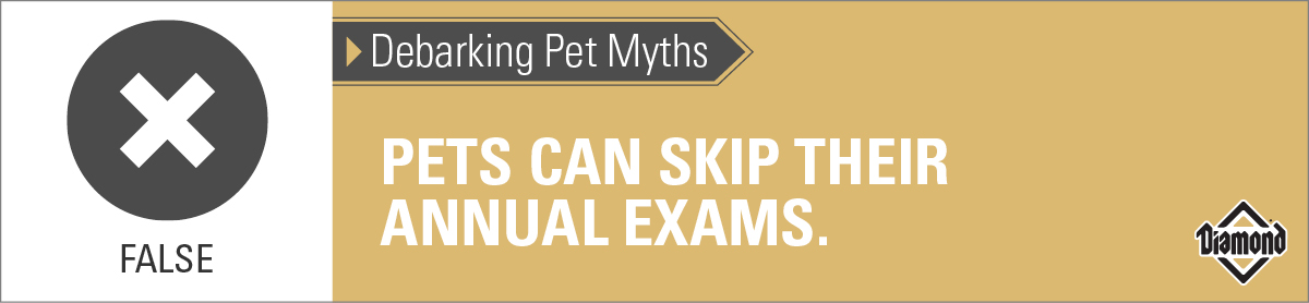 False: Pets Can Skip Their Annual Exams