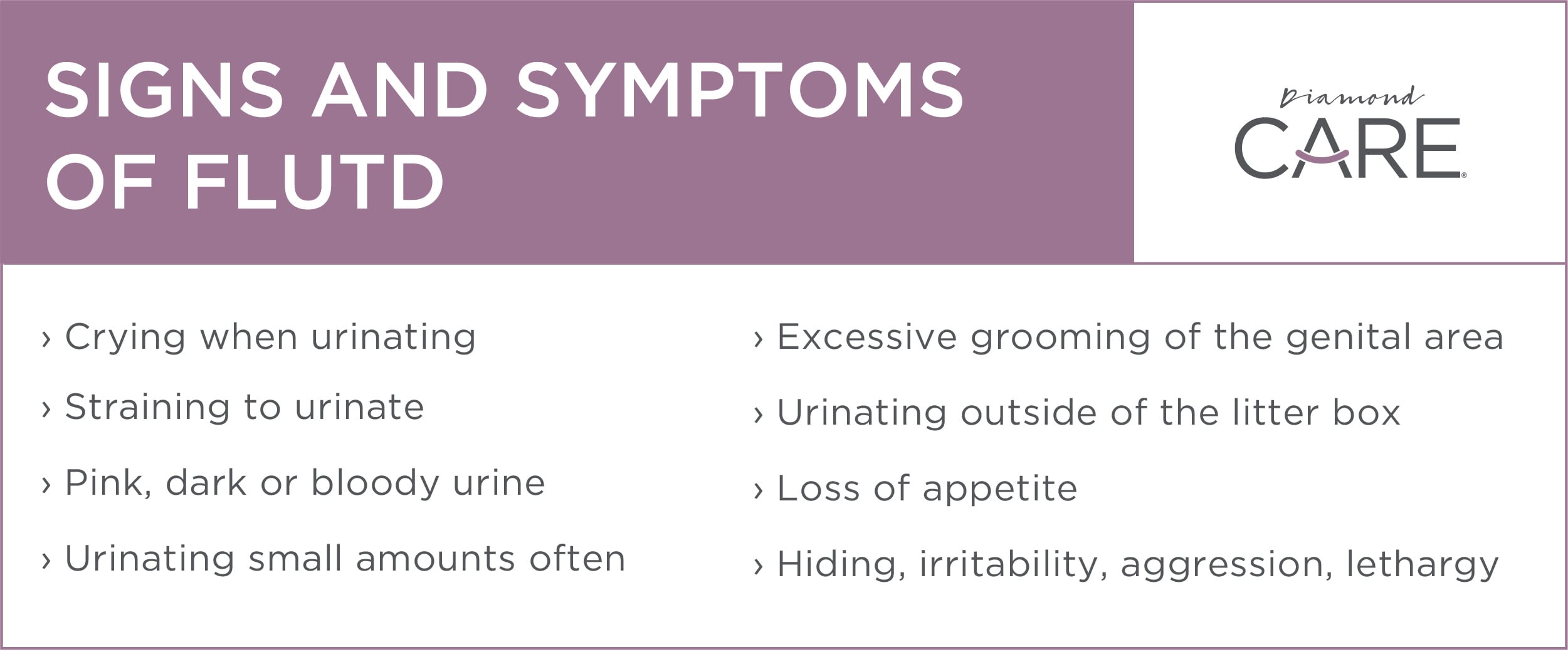 Signs and Symptoms of FLUTD | Diamond Pet Foods