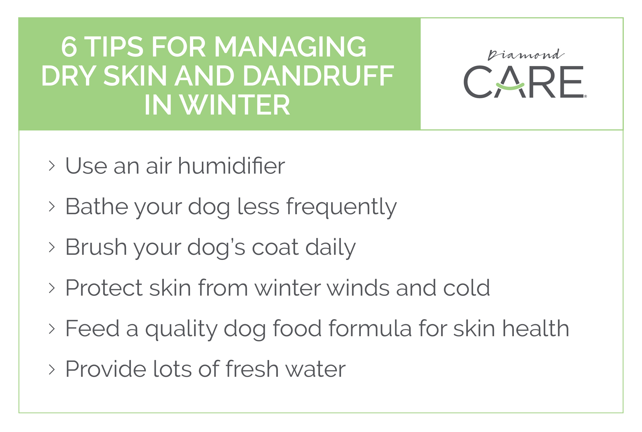 5 Tips to Avoid Dry Dog Skin This Winter | Diamond Pet Foods