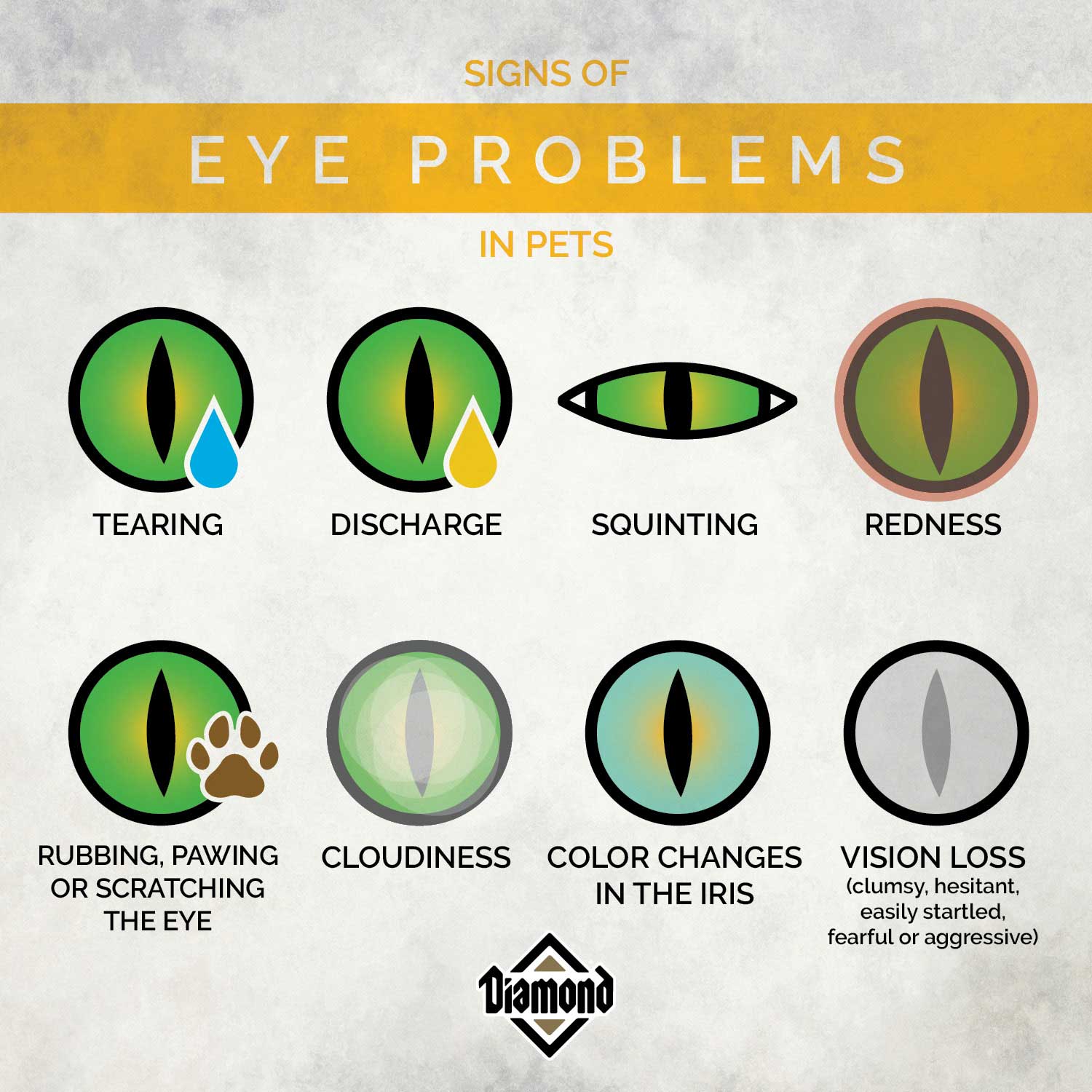 Signs of Eye Problems in Pets | Diamond Pet Foods
