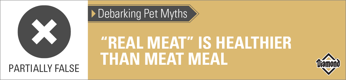 Real Meat May Not Be Healthier Than Meat Meal | Diamond Pet Foods