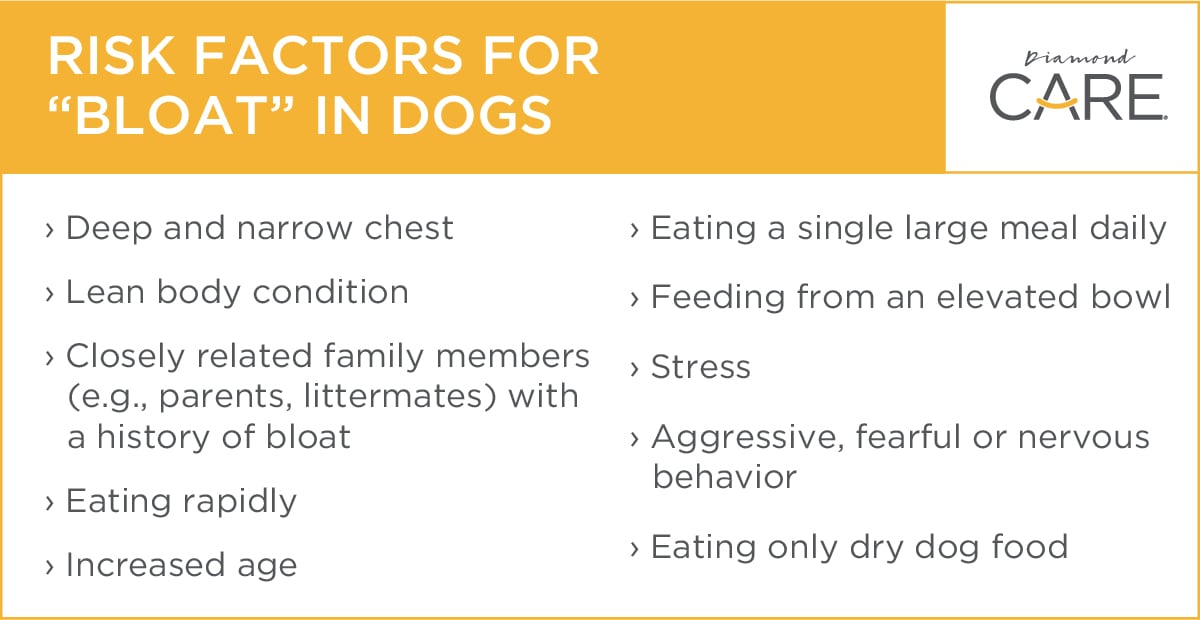 List of Risk Factors for "Bloat" in Dogs