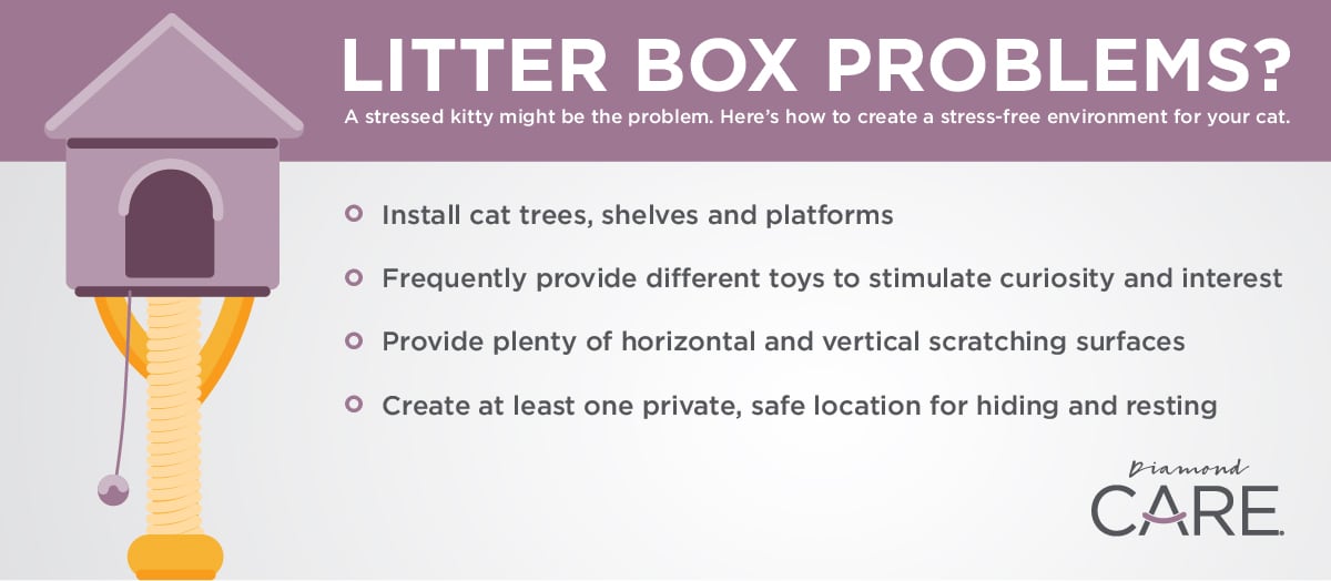 Tips for Stressed Cats with Litter Box Problems Infographic | Diamond Pet Foods