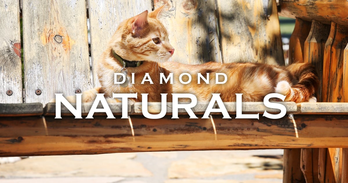 Diamond Naturals Cat Food Diamond Pet Foods