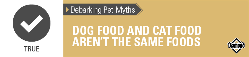 True: Dog Food and Cat Food Aren’t the Same Foods | Diamond