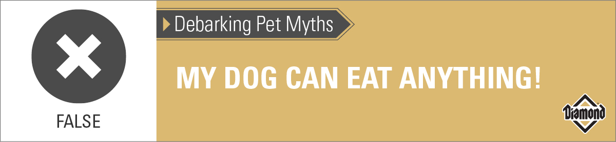 False: Dogs Cannot Eat Just Anything | Diamond Pet Foods