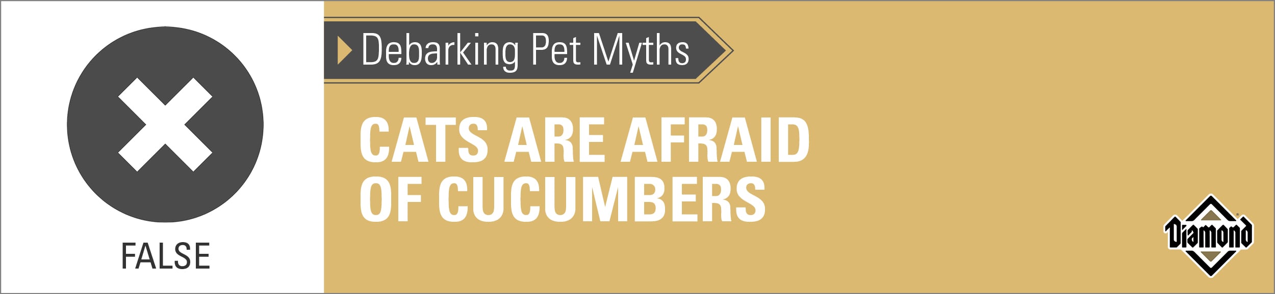 Cats are not afraid of cucumbers mythometer | Diamond Pet Foods