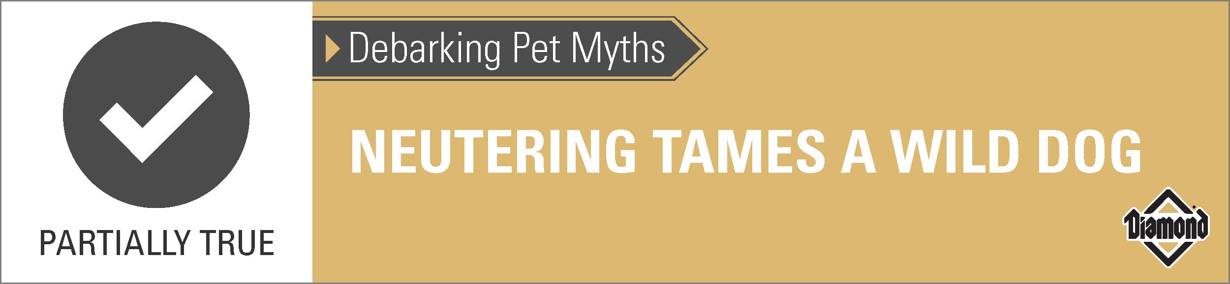 Partially True: Neutering Tames a Wild Dog | Diamond Pet Foods
