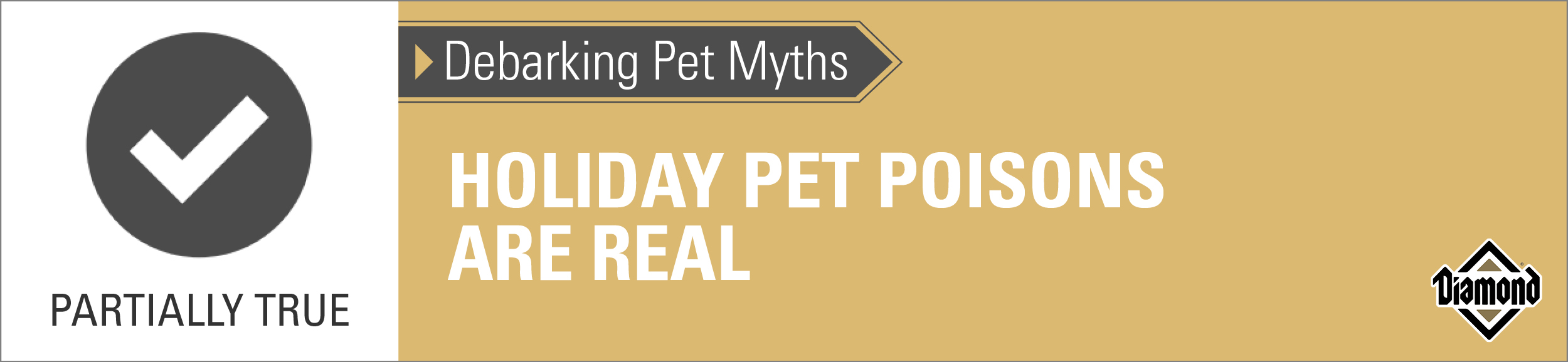 True: Pet Holiday Poisons Are Real | Diamond Pet Foods