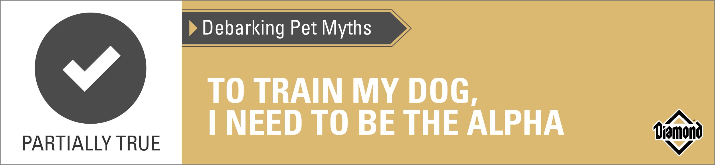 Partially True: To Train My Dog, I Need to Be the Alpha | Diamond Pet Foods