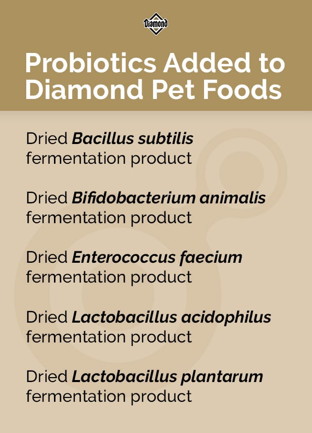 Probiotics Added to Diamond Pet Foods | Diamond Pet Foods