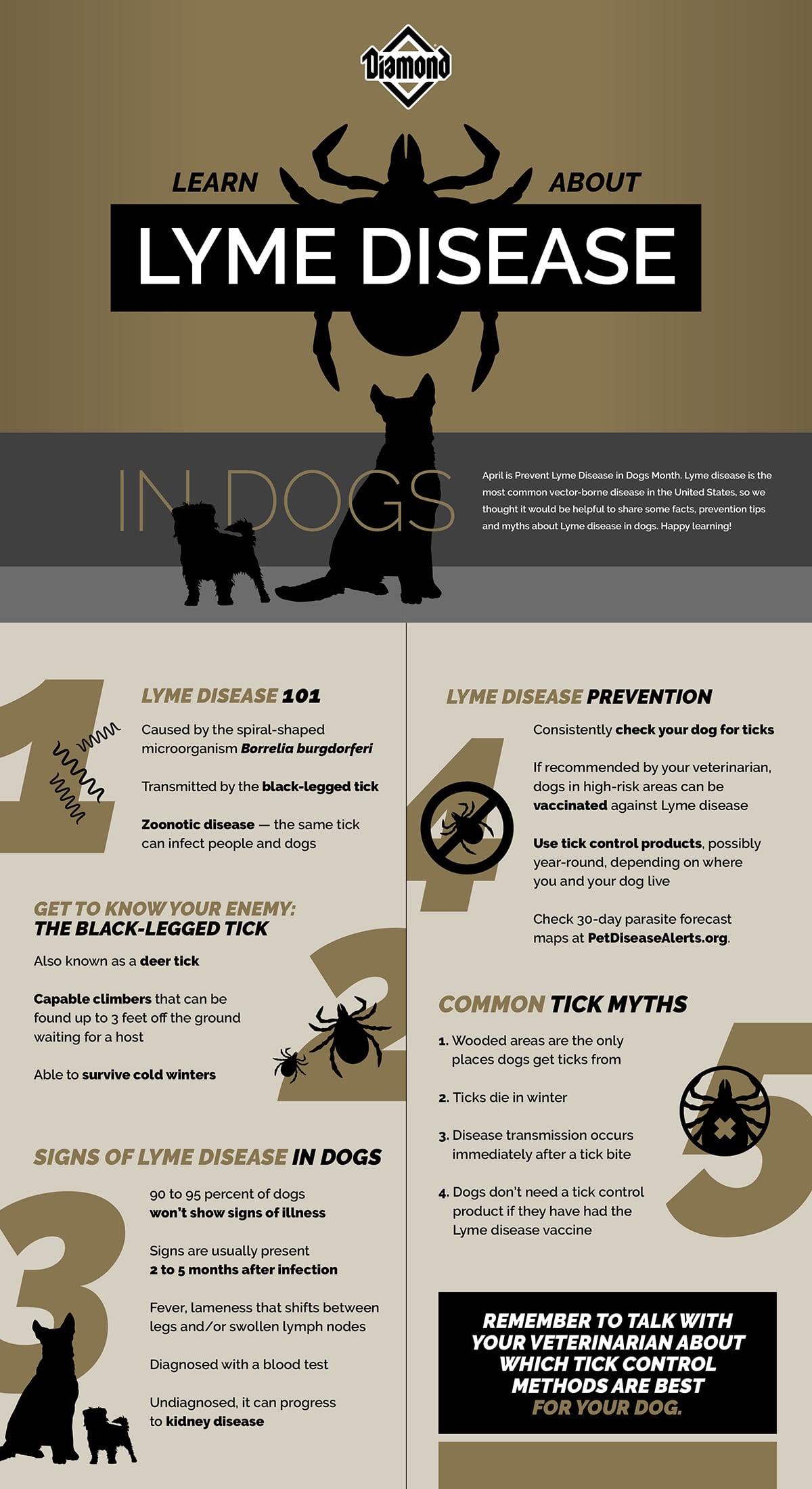 Lyme Disease in Dogs Graphic Guide | Diamond Pet Foods