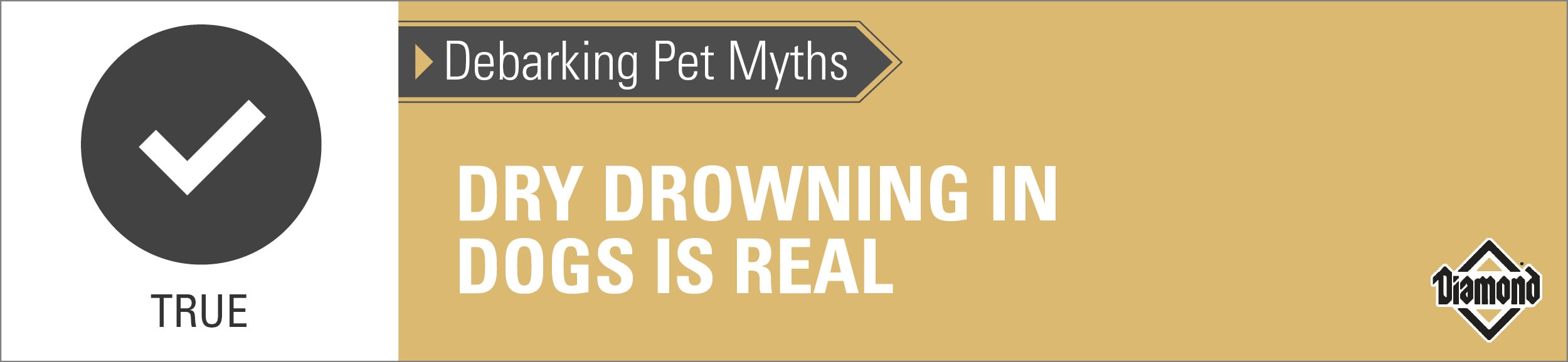 Graphic Saying Dry Drowning In Dogs is Real | Diamond Pet Foods
